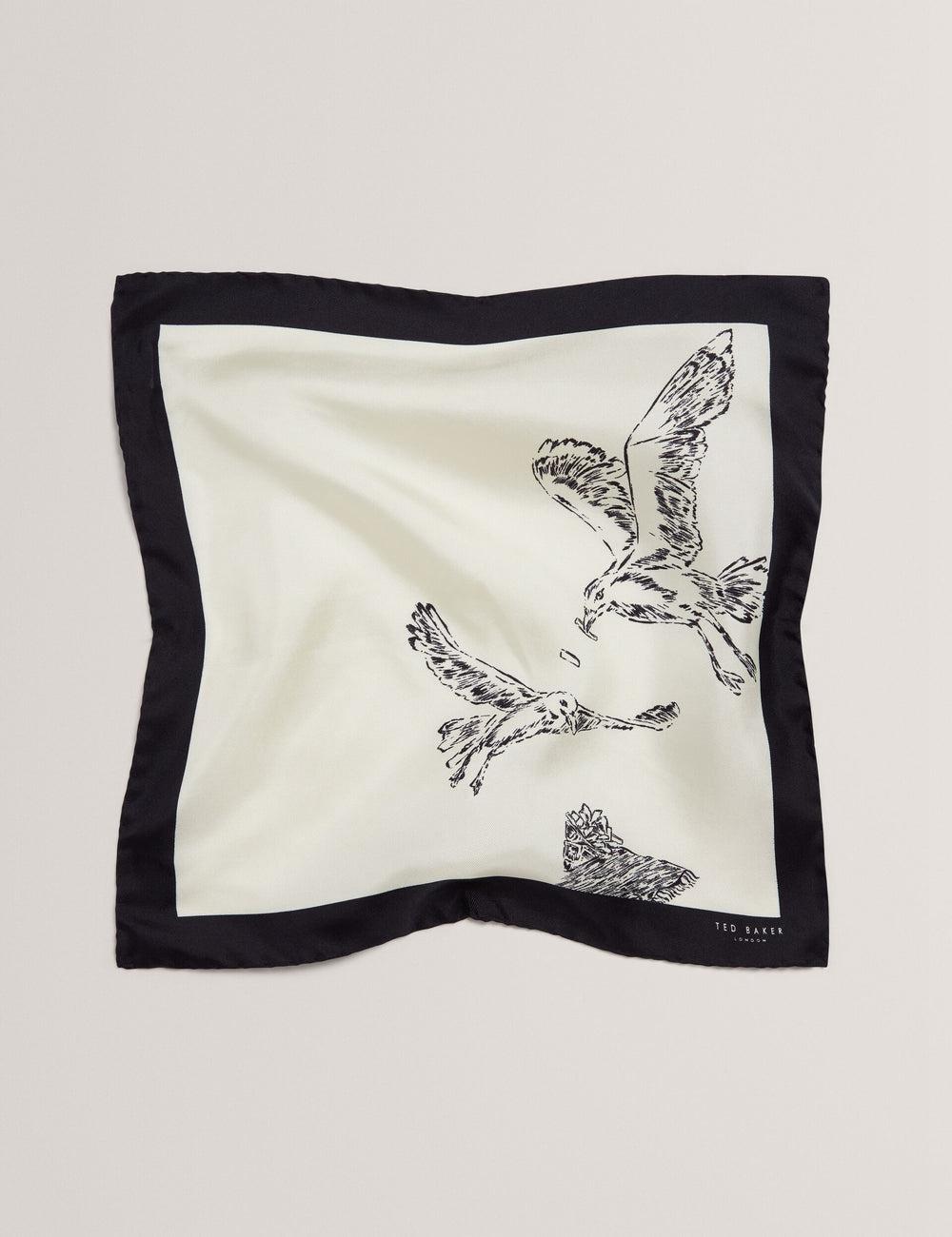Men Ted Baker BENHALP - Seagull Graphic Silk Pocket Pocket Squares Ecru | India  NSGE-90428