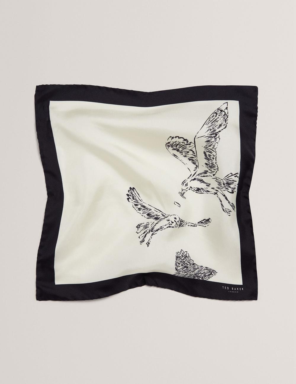 Men Ted Baker BENHALP - Seagull Graphic Silk Pocket Pocket Squares Ecru | India  NSGE-90428