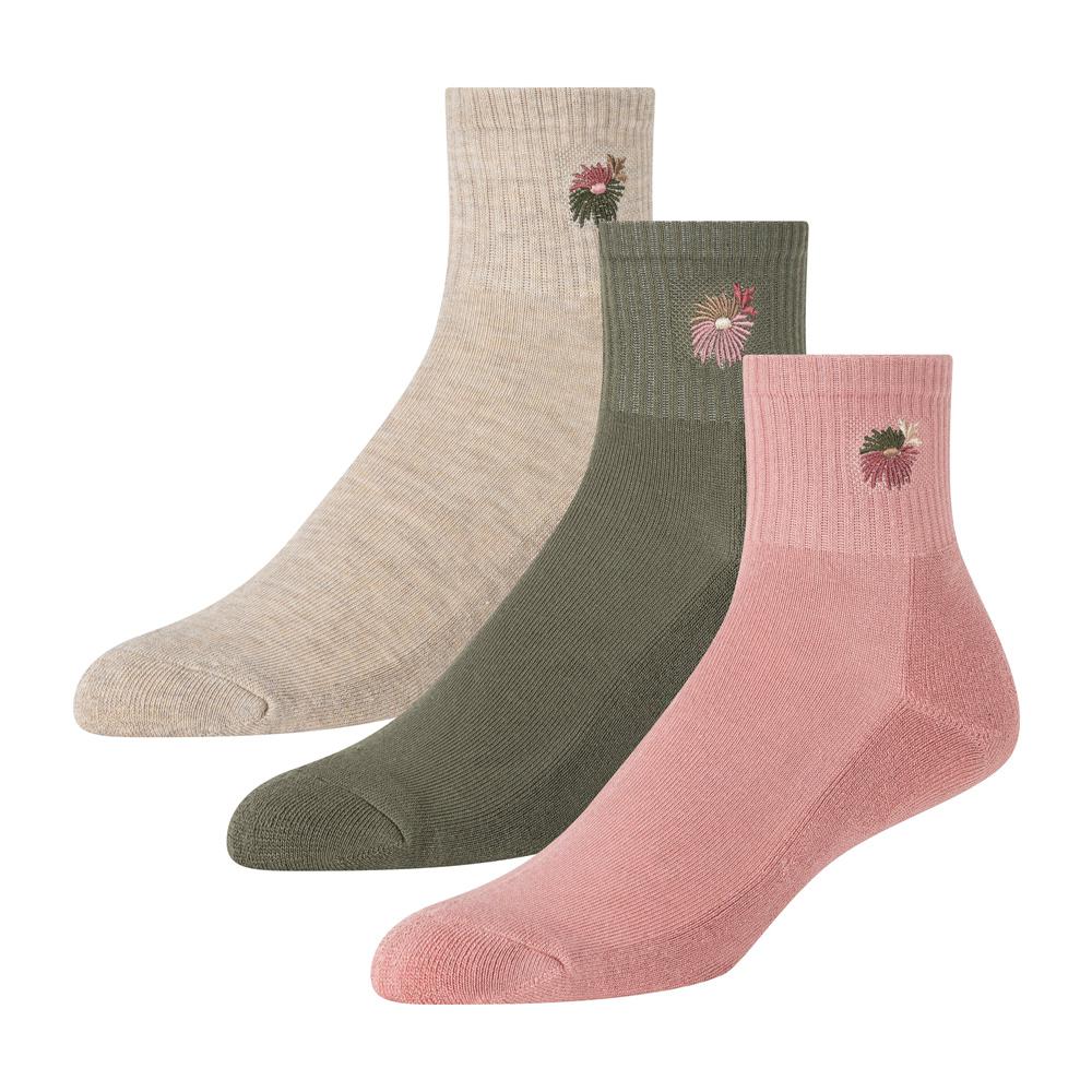 Women Ted Baker 3 Pack Cushioned Sole High Ankle Crew Socks Pink | India  RCJO-35629